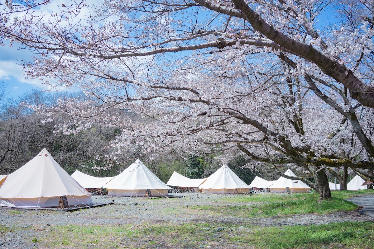 COMORIVER（コモリバ）の実際の写真