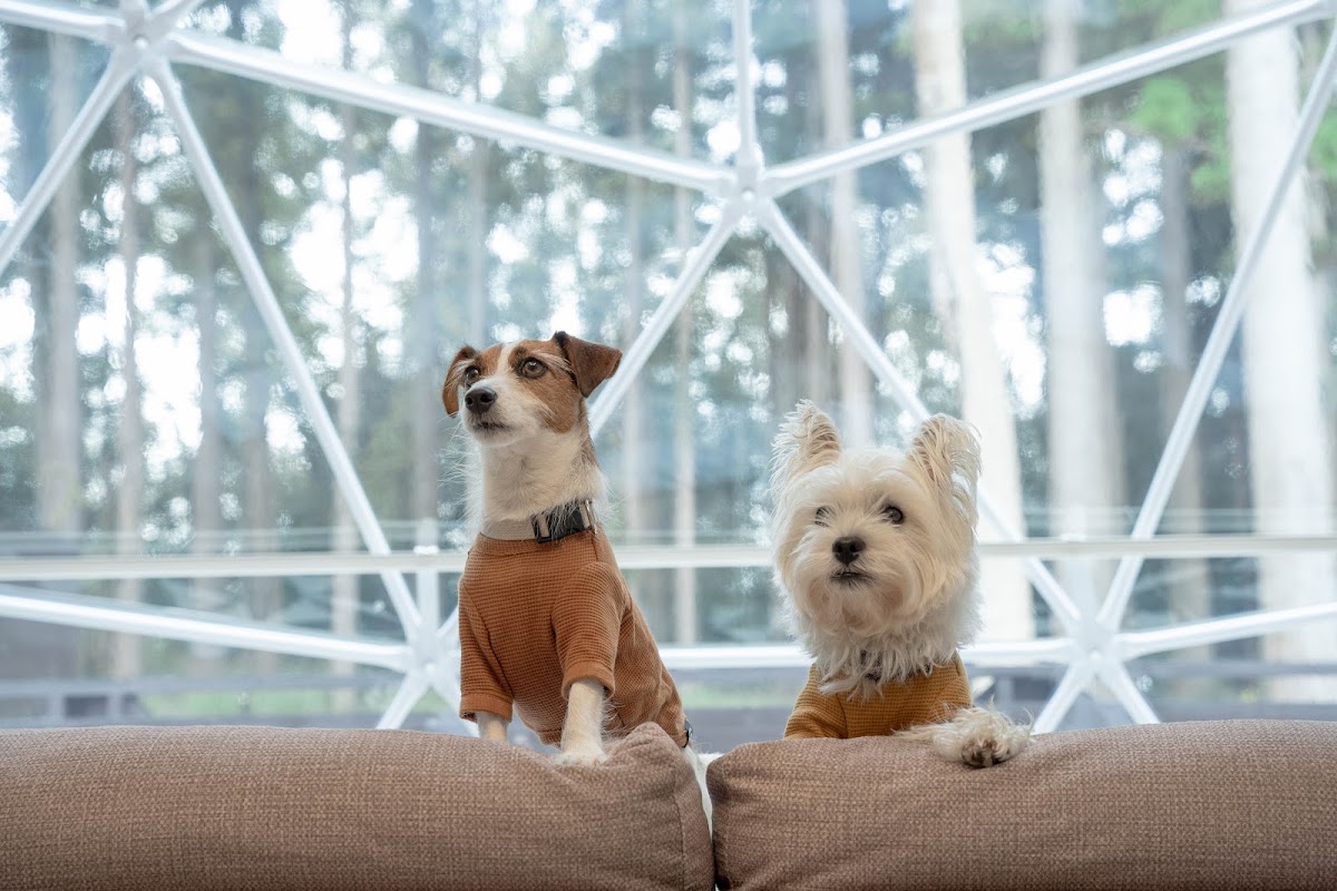 まるのもり Glamping with Dogの実際の写真