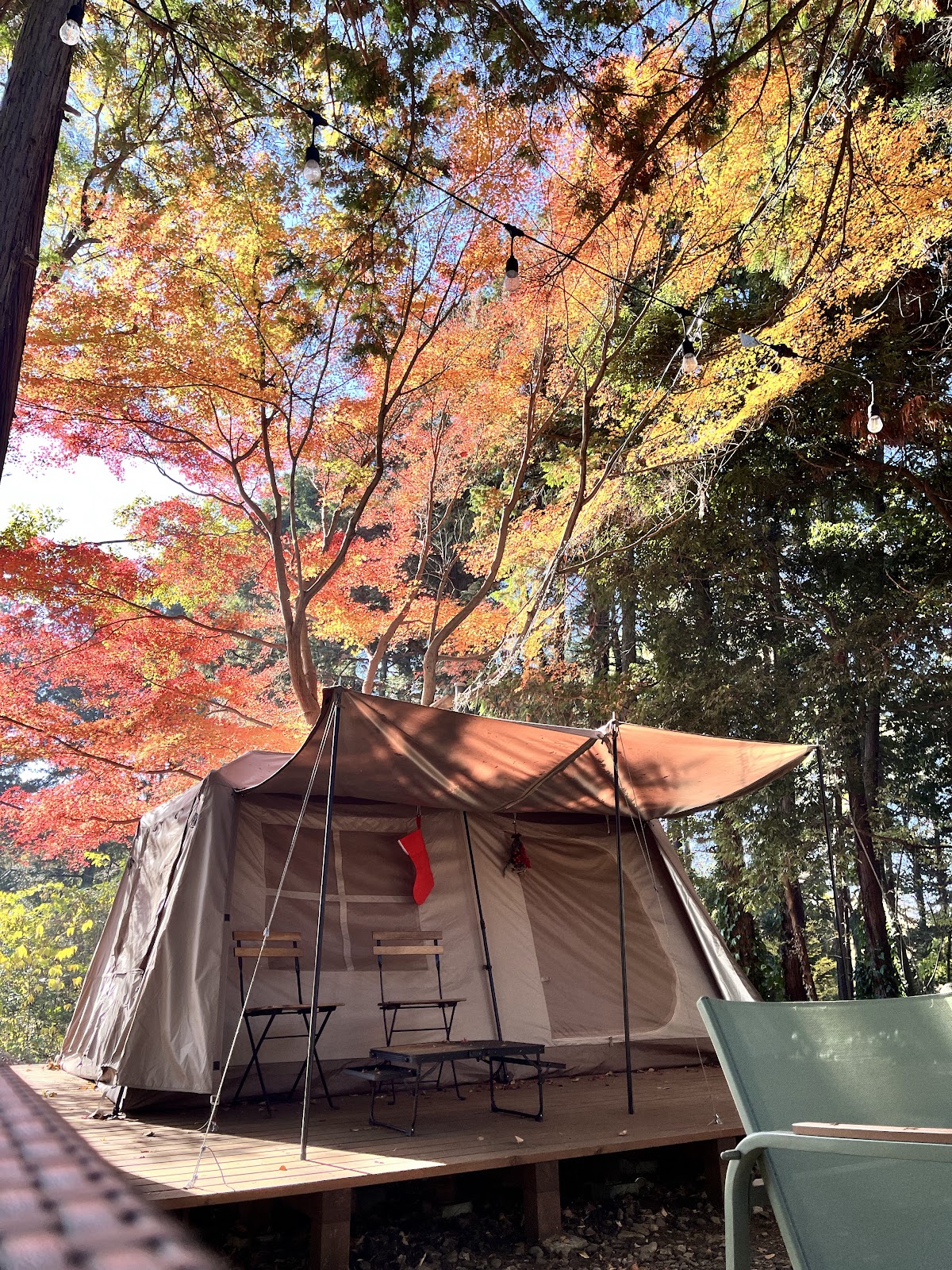 Grow Garden Toriyamaの実際の写真