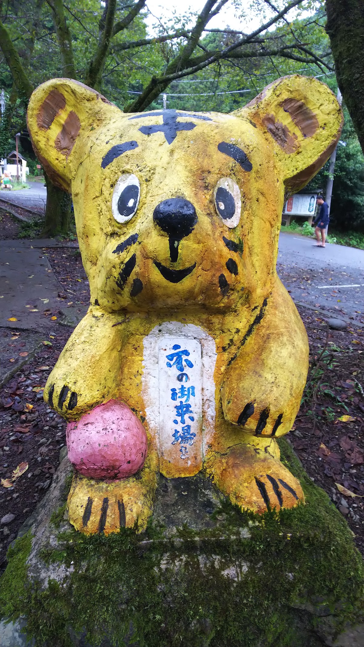 清川リバーランドの実際の写真
