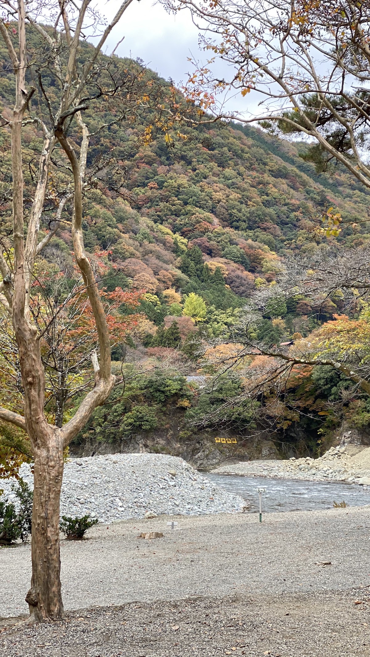 このまさわキャンプ場の実際の写真
