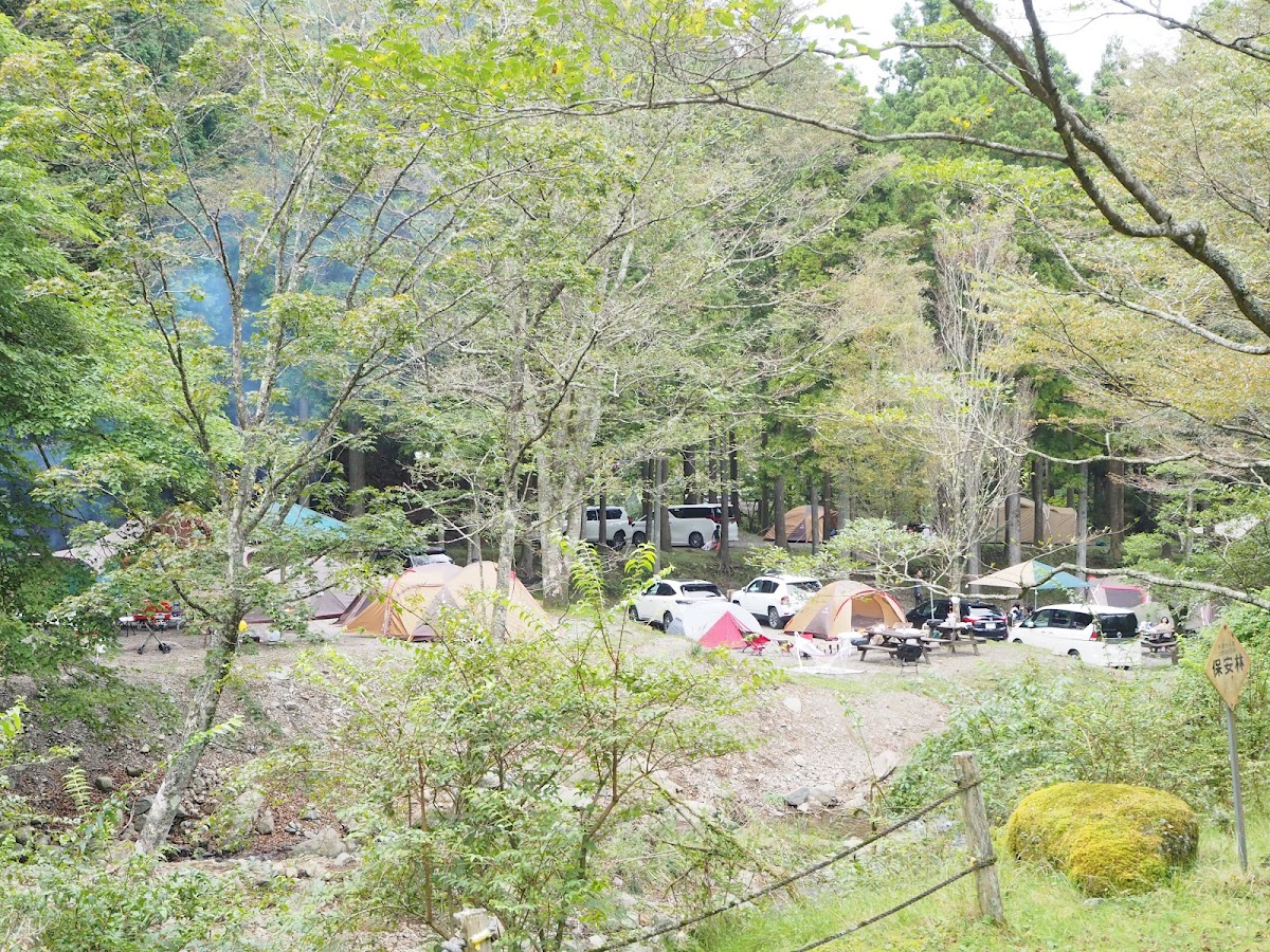 ボスコ・オート・キャンプ・ベース 神奈川 キャンプ場の実際の写真