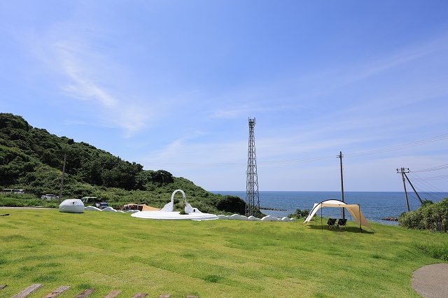The earth with dogsの実際の写真
