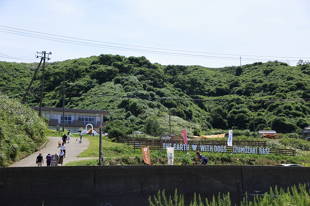 The earth with dogsの実際の写真