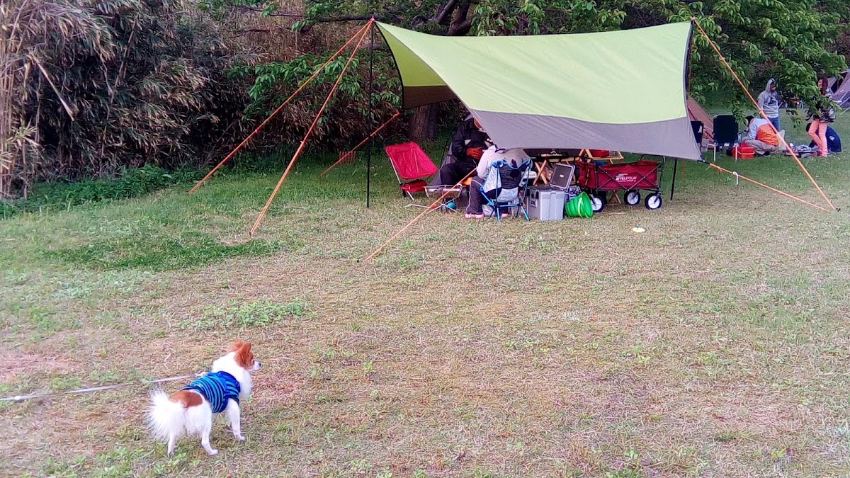 海が見えるコテージ＆キャンプ※熊の居ないキャンプ場！弥彦山は熊居ません！周囲12000v獣除け電柵設置で安心！の実際の写真