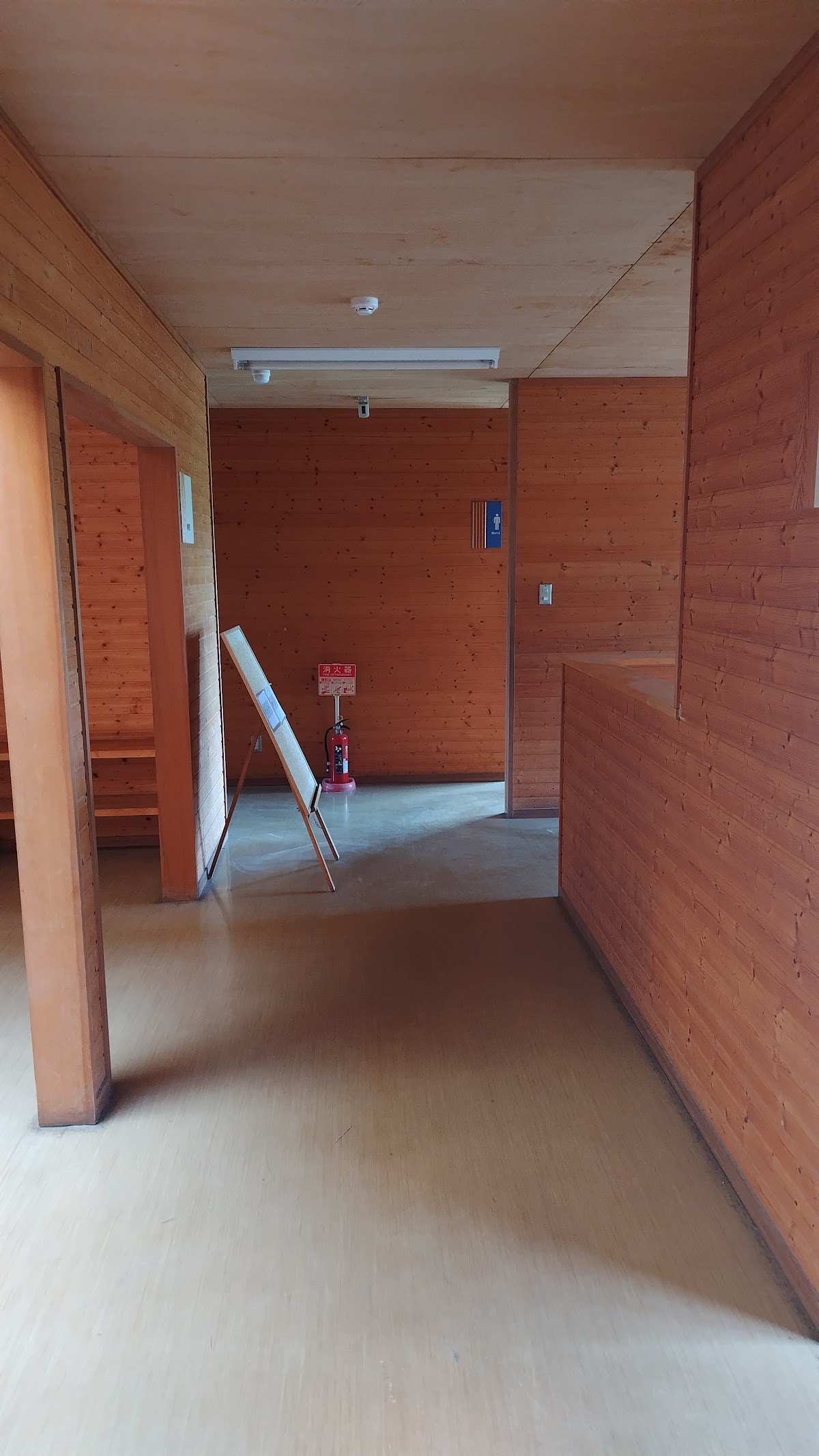 海辺の森キャンプ場の実際の写真