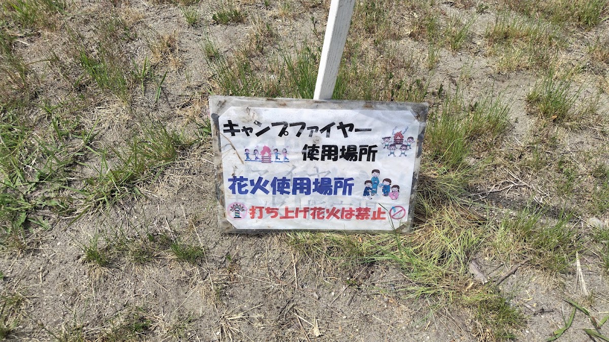 海辺の森キャンプ場の実際の写真