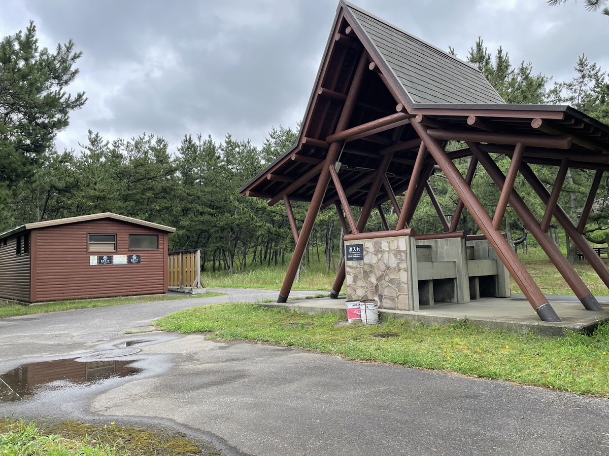 新潟県立紫雲寺記念公園オートキャンプ場の実際の写真