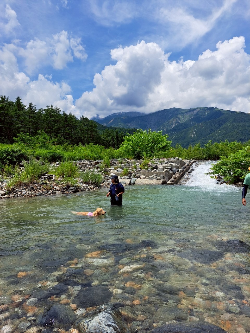 Romperdog Run&Siteの実際の写真