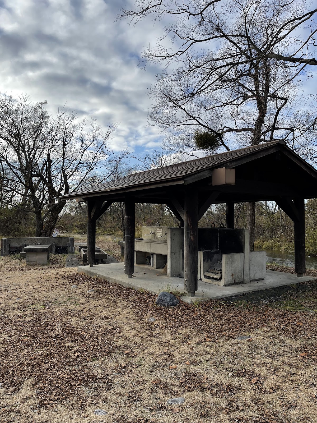 墓ノ木自然公園キャンプ場の実際の写真