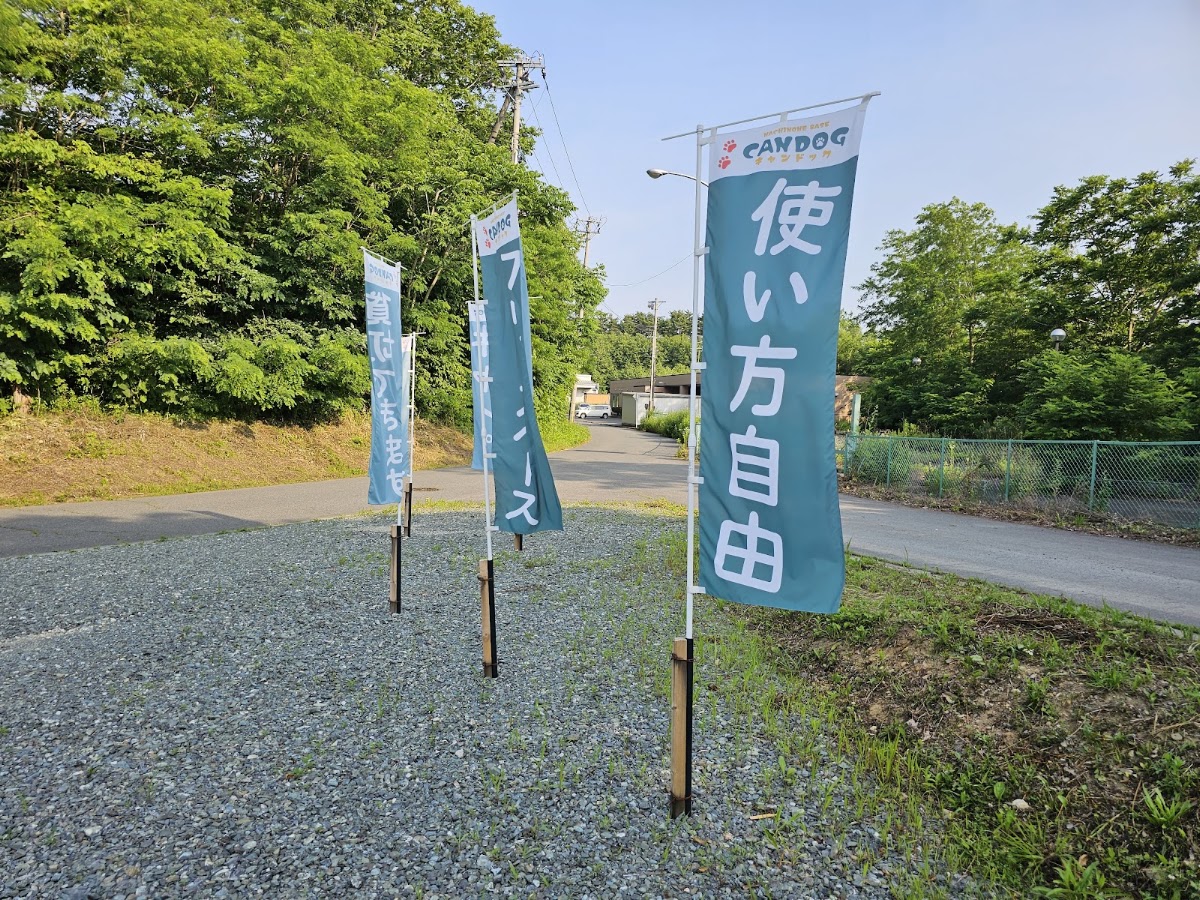 HACHINOHE BASE CAMDOGの実際の写真
