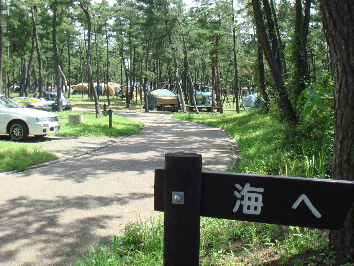 休暇村能登千里浜 シーサイドオートキャンプ場の実際の写真