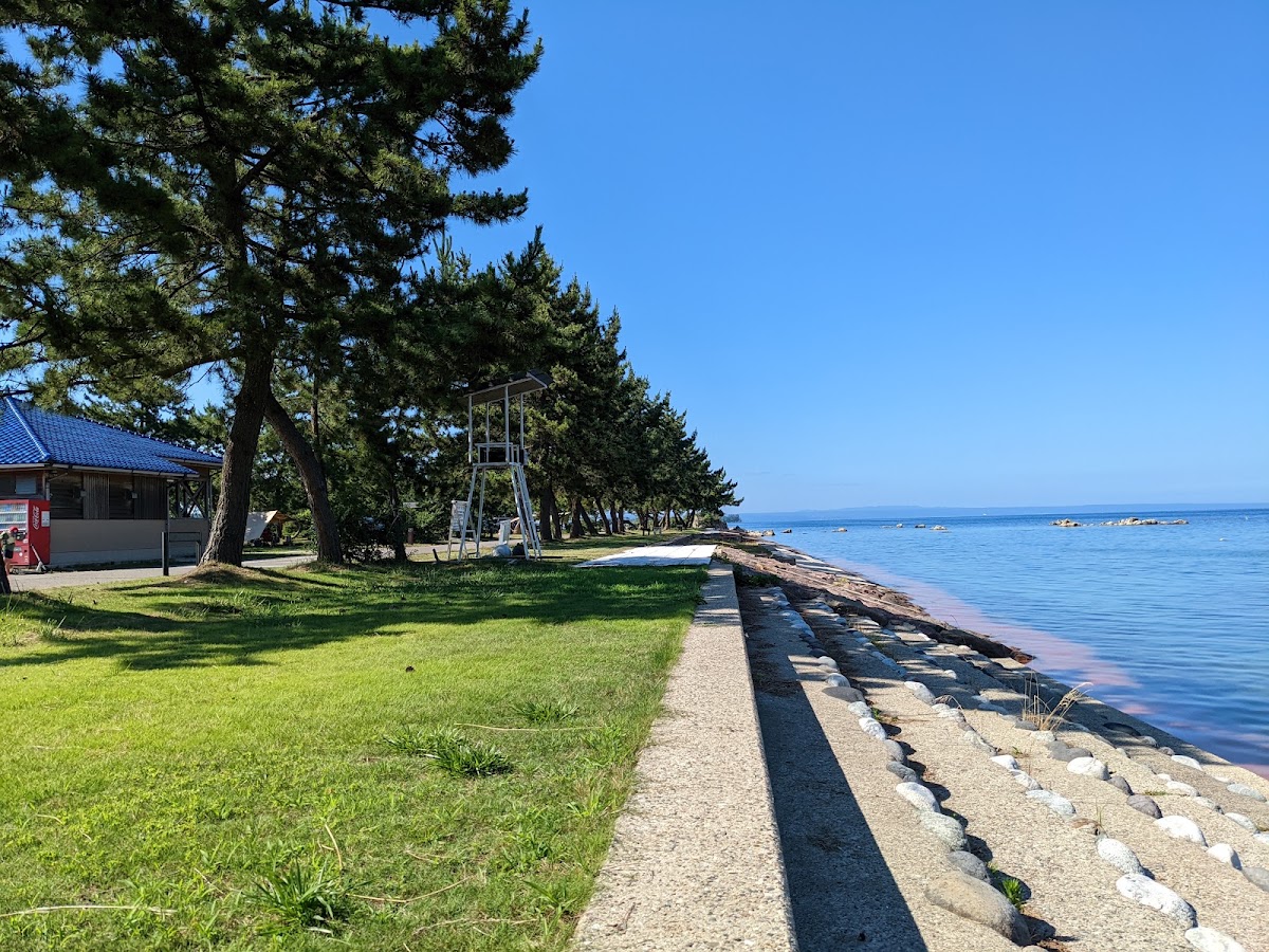 松島オートキャンプ場の実際の写真