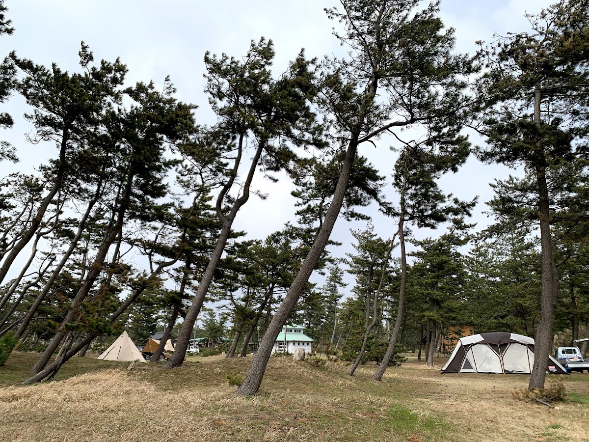 大島キャンプ場の実際の写真
