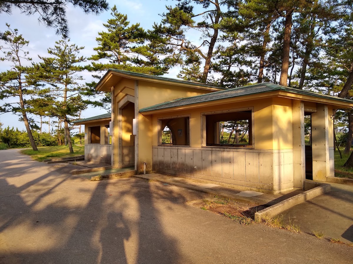 大島キャンプ場の実際の写真