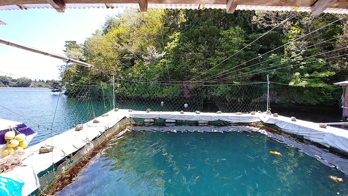 九十九湾園地キャンプ場(ツクモワンエンチキャンプジョウ)の実際の写真