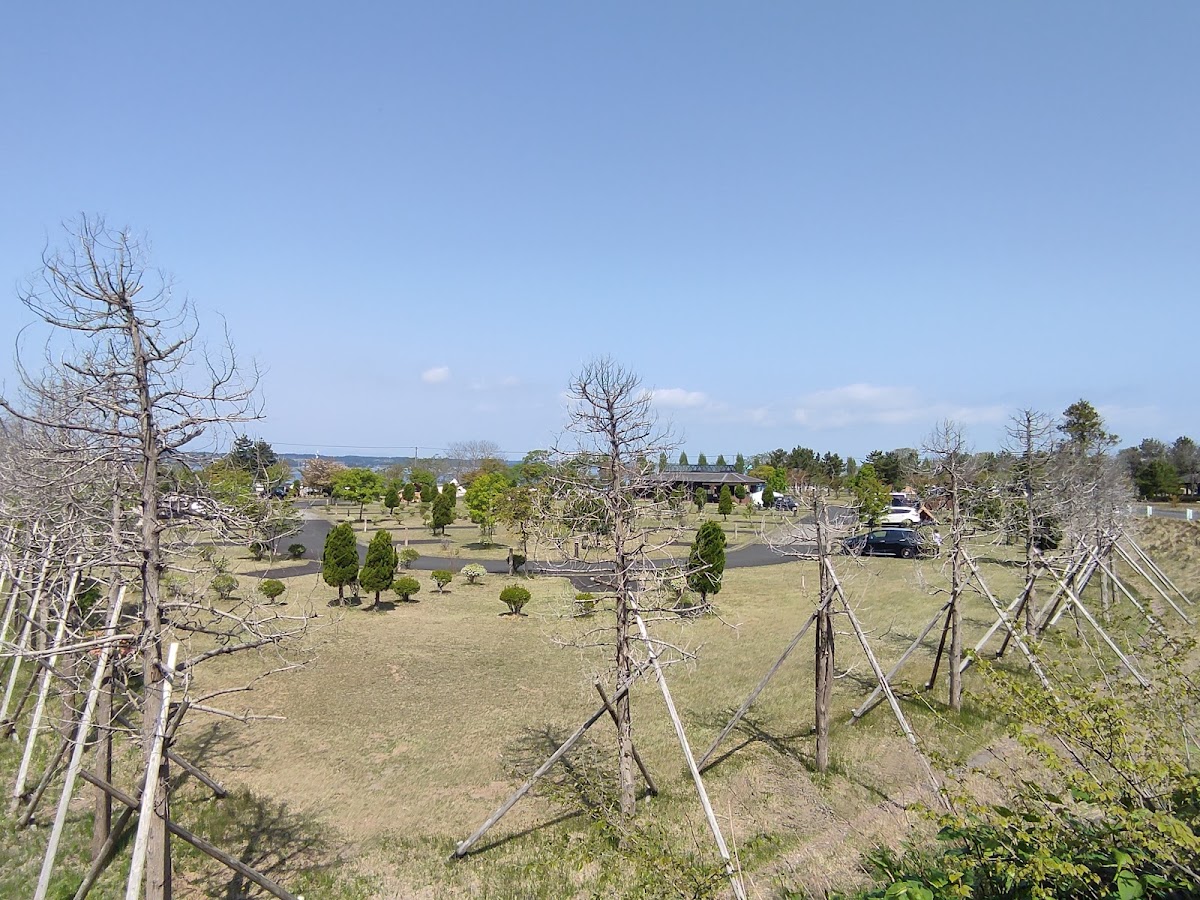 三沢オートキャンプ場の実際の写真