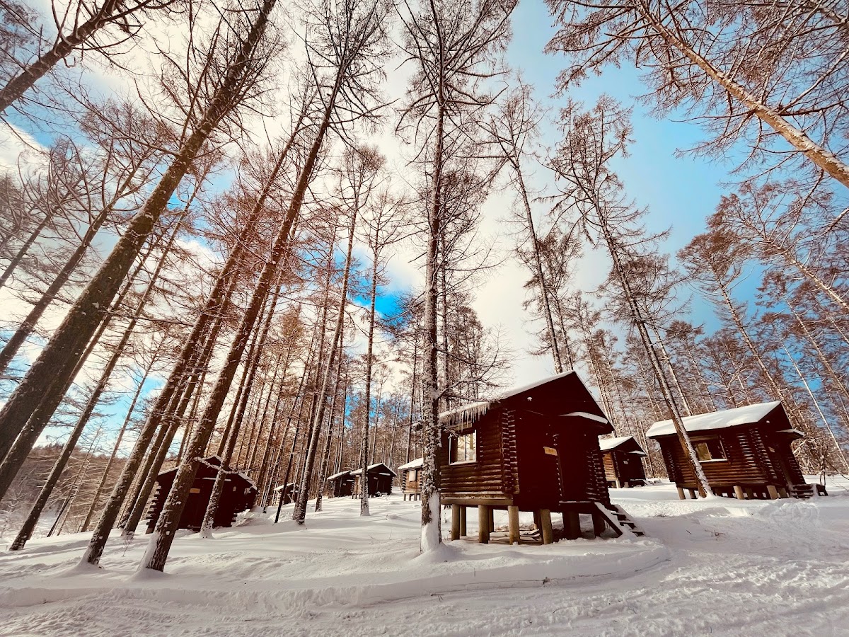nagano forest villageの実際の写真