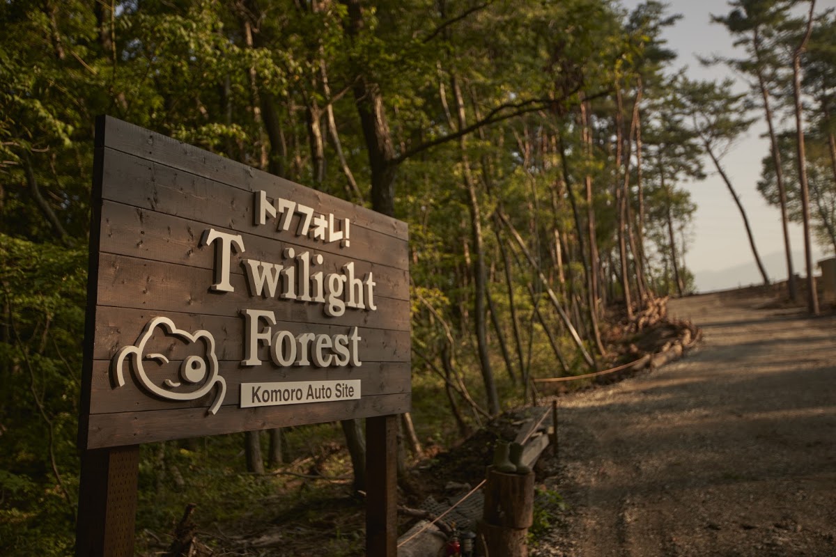 Twilight Forestの実際の写真