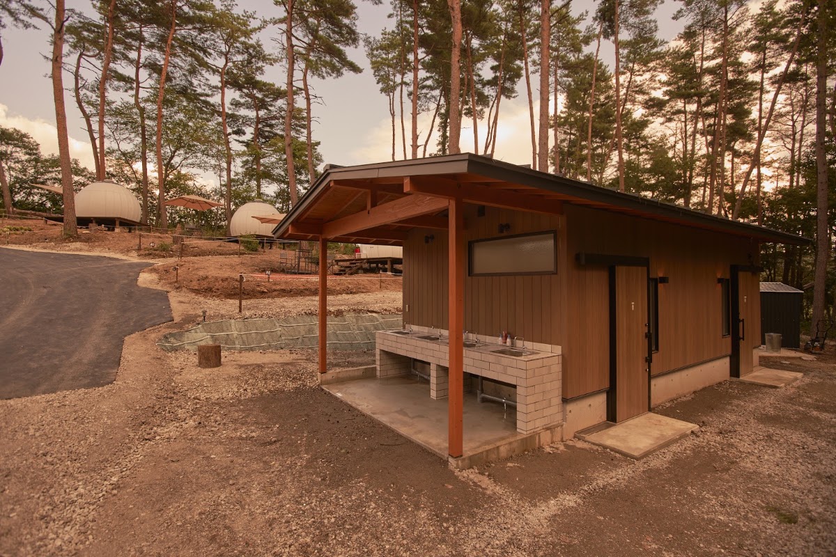 Twilight Forestの実際の写真