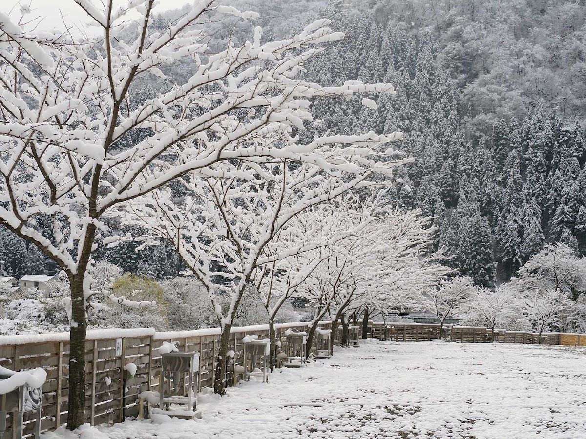 KITEN長良川オートキャンプ場の実際の写真