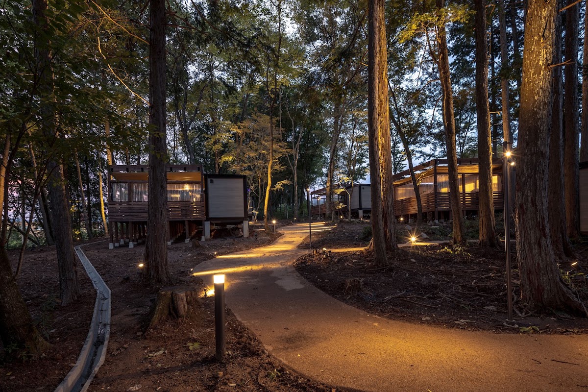 NAGI dog glamping ena │ ナギドッググランピングエナの実際の写真