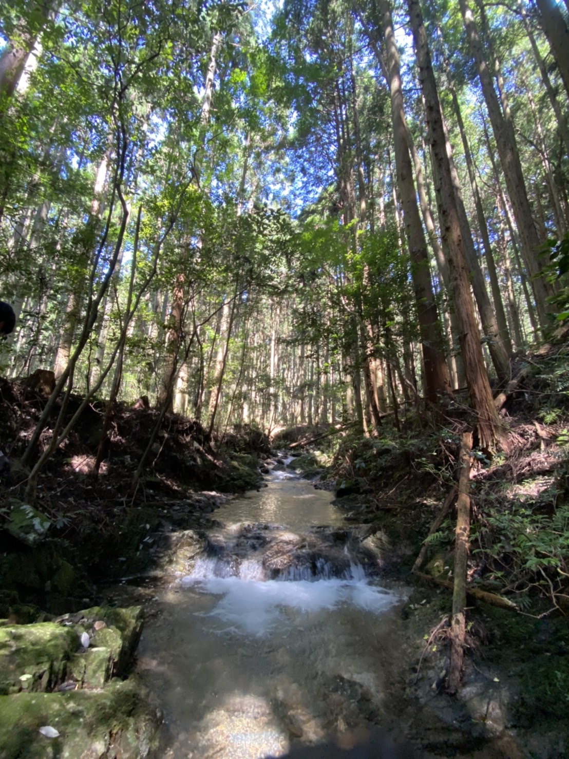 DAY FOREST Nukataの実際の写真