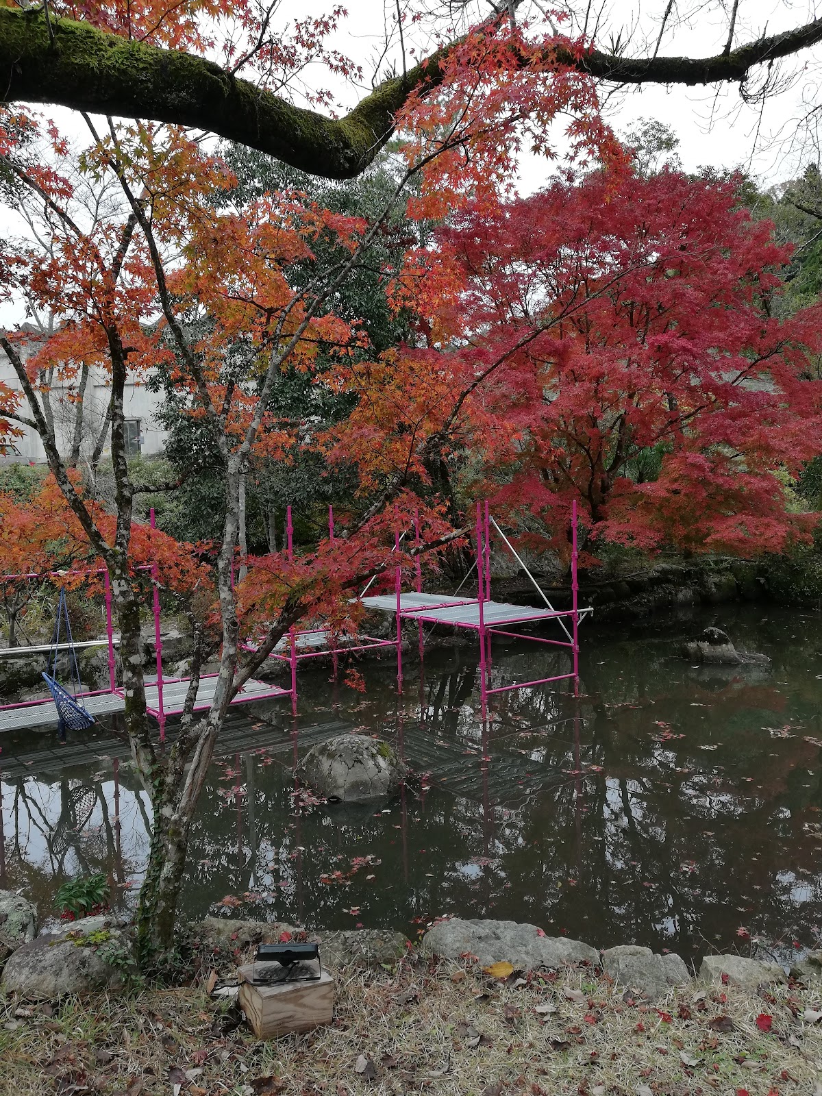 ウッドデザインパーク岡崎の実際の写真