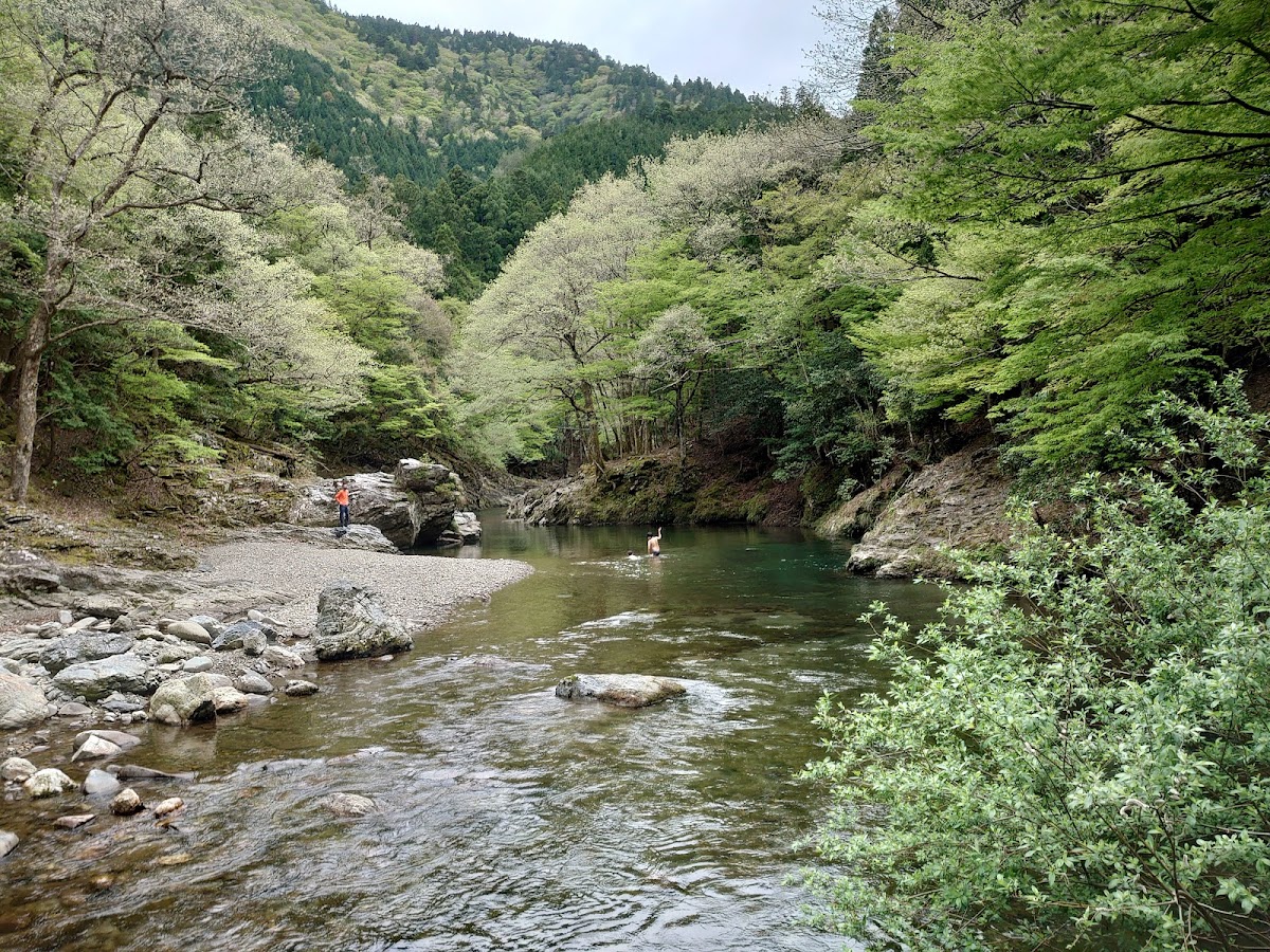 久多の里オートキャンプ場の実際の写真