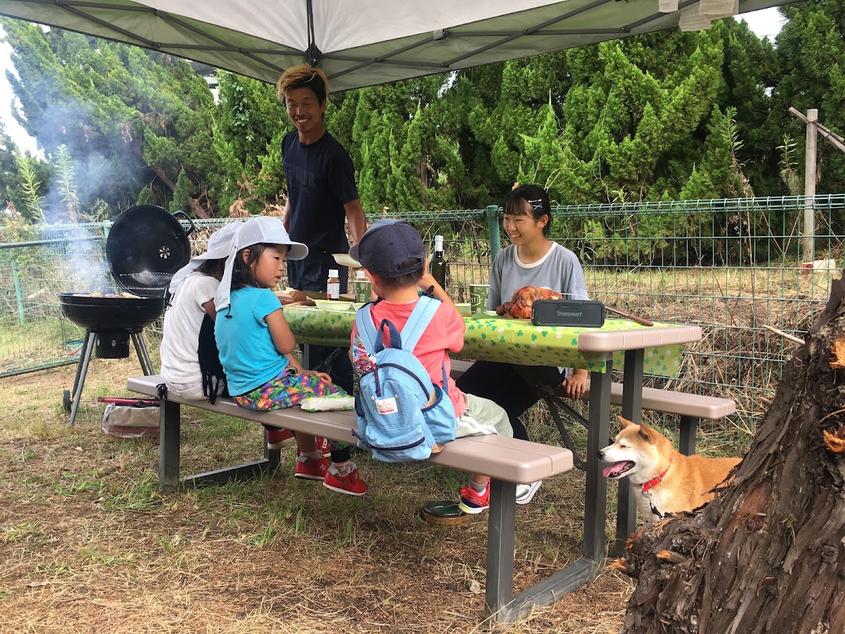 大阪舞洲アーバンアウトドアベース「愛犬と一緒にデイキャンプ＆BBQ」with 大阪舞洲ドッグウォーキングの実際の写真