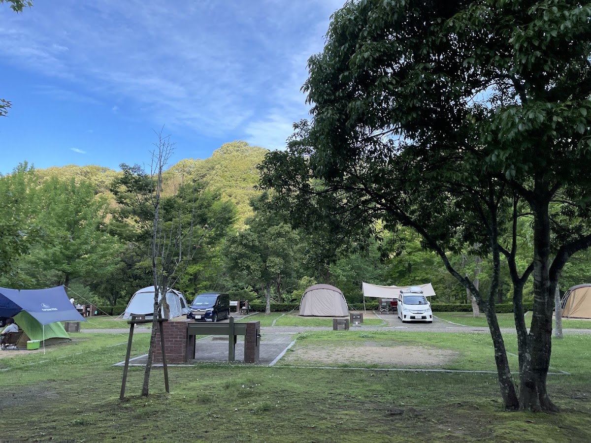 しあわせの村オートキャンプ場の実際の写真