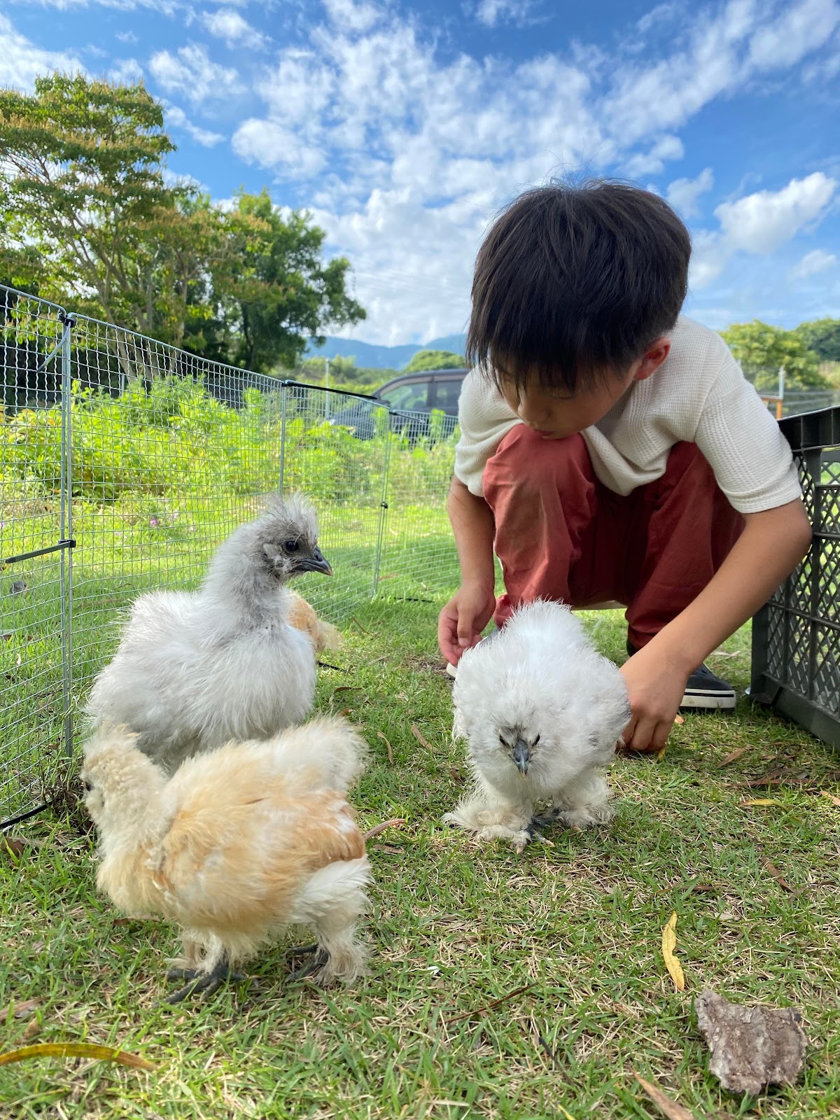 くつろぎたいのも山々の実際の写真