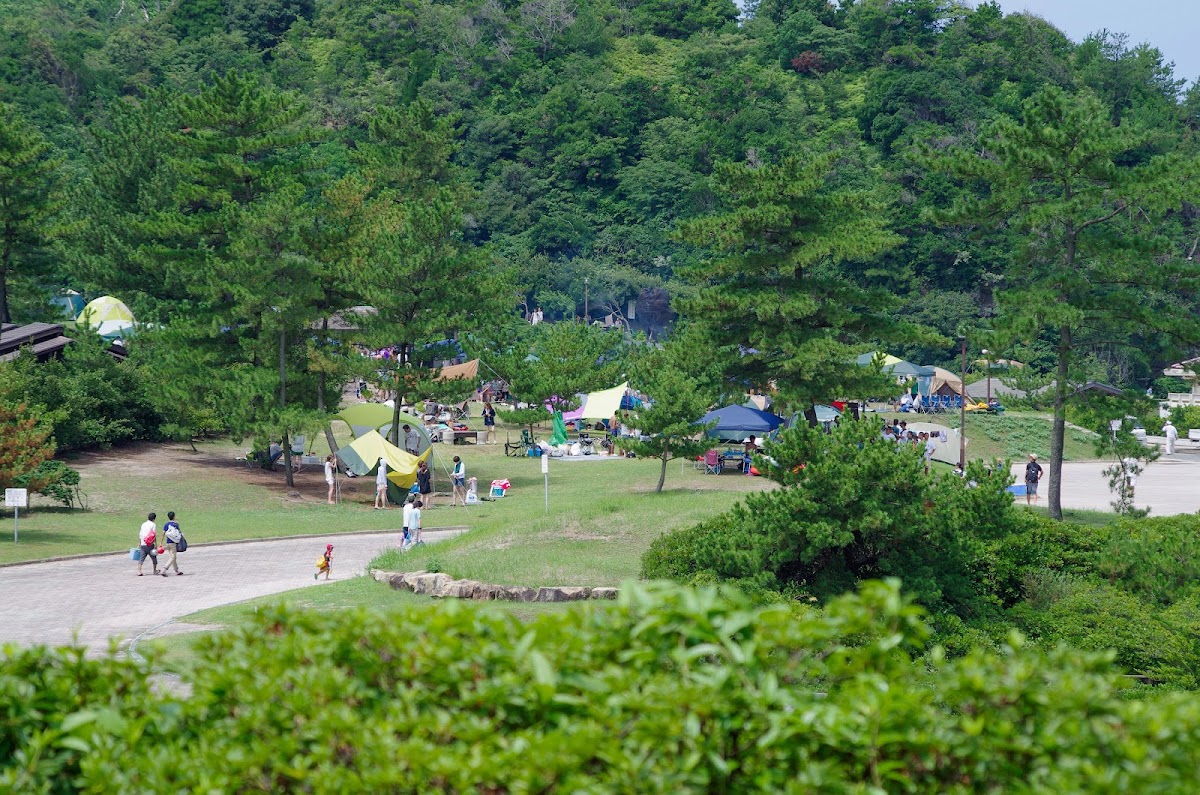 石見海浜公園の実際の写真