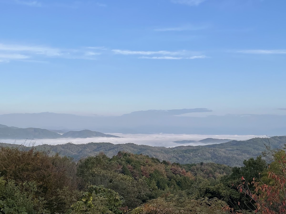 吉井竜天オートキャンプ場の実際の写真