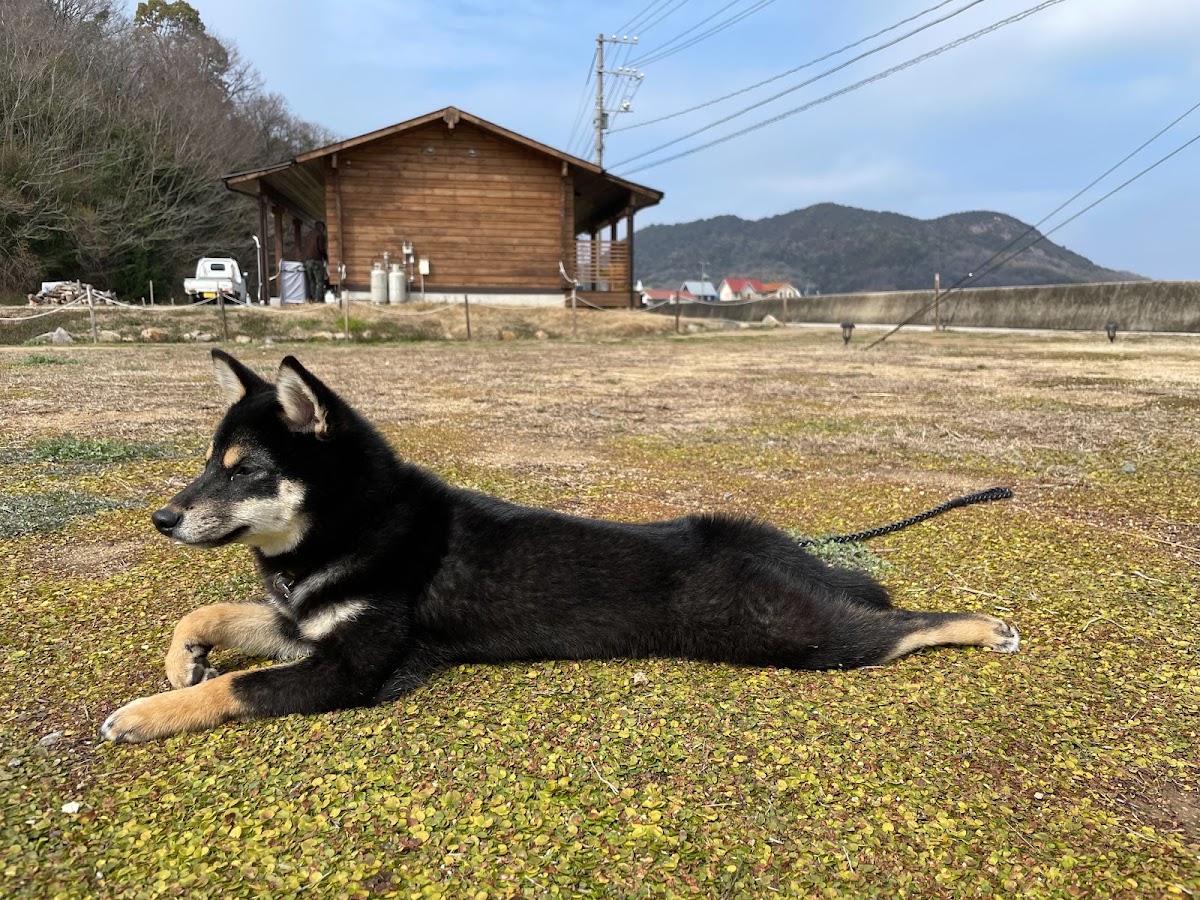Island Camp 百島の実際の写真
