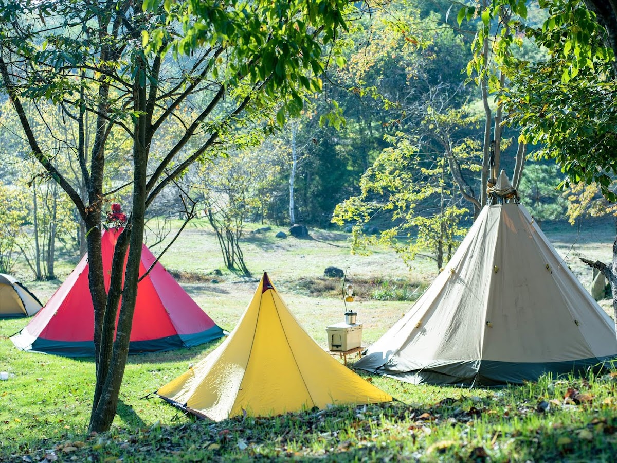 the campus～トロイカの森～の実際の写真