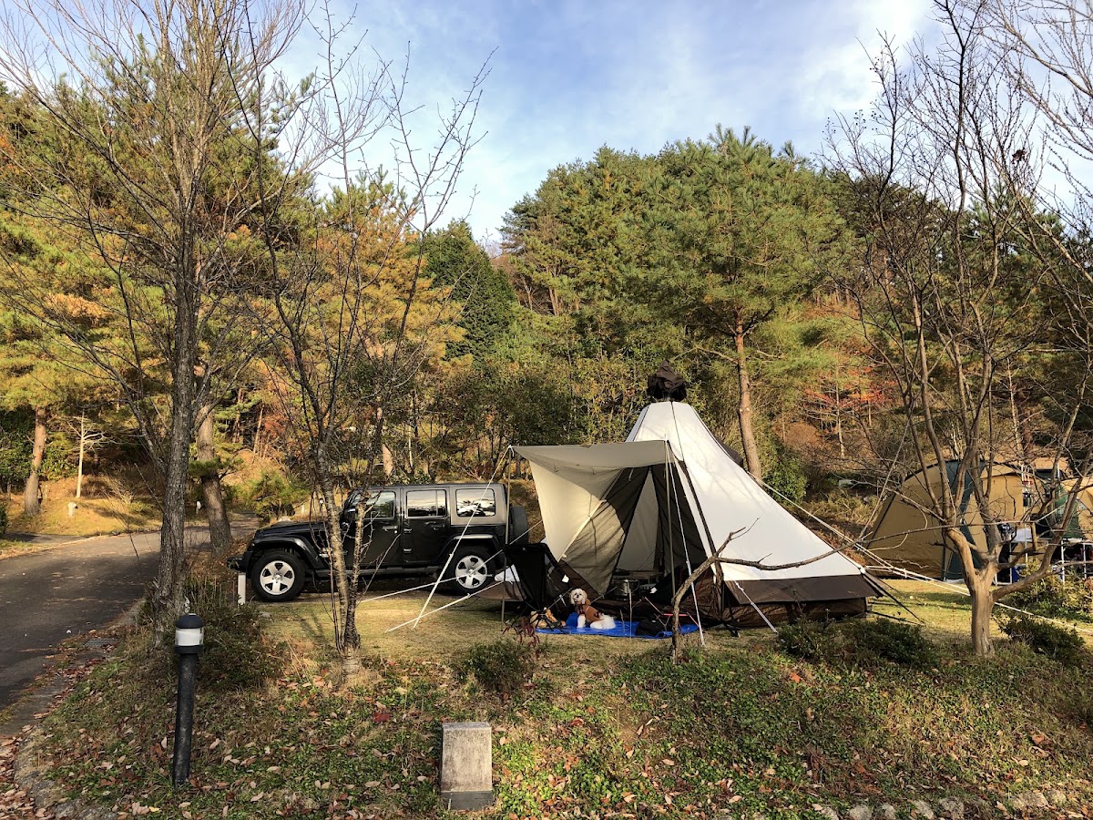 十種ヶ峰オートキャンプ場の実際の写真