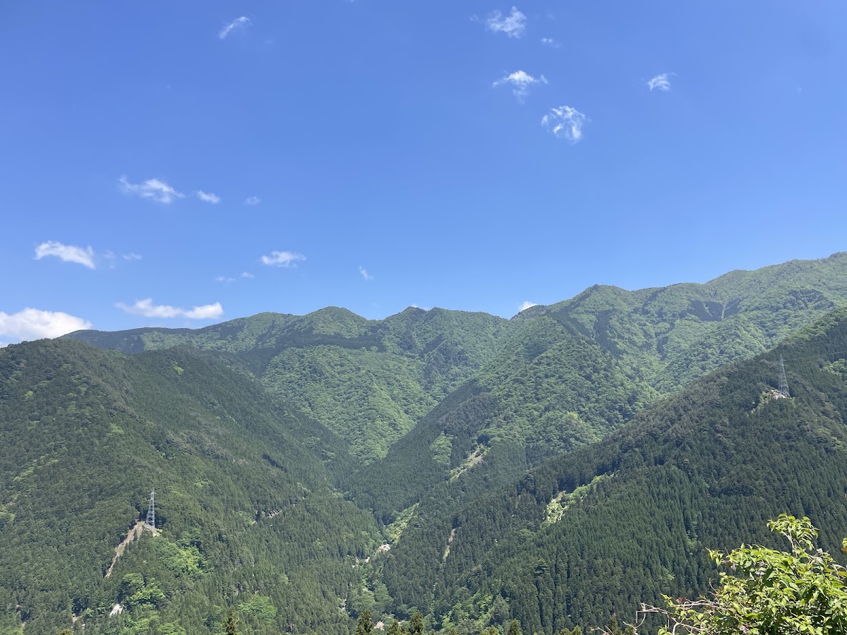 四国山岳植物園 岳人の森キャンプ場の実際の写真