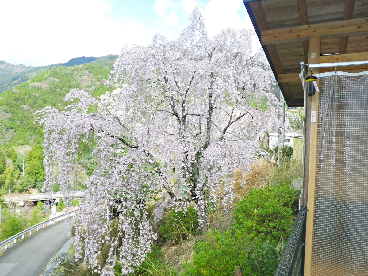 glampark つるぎの湯の実際の写真
