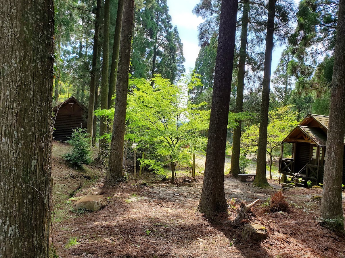 山中キャンプ場の実際の写真