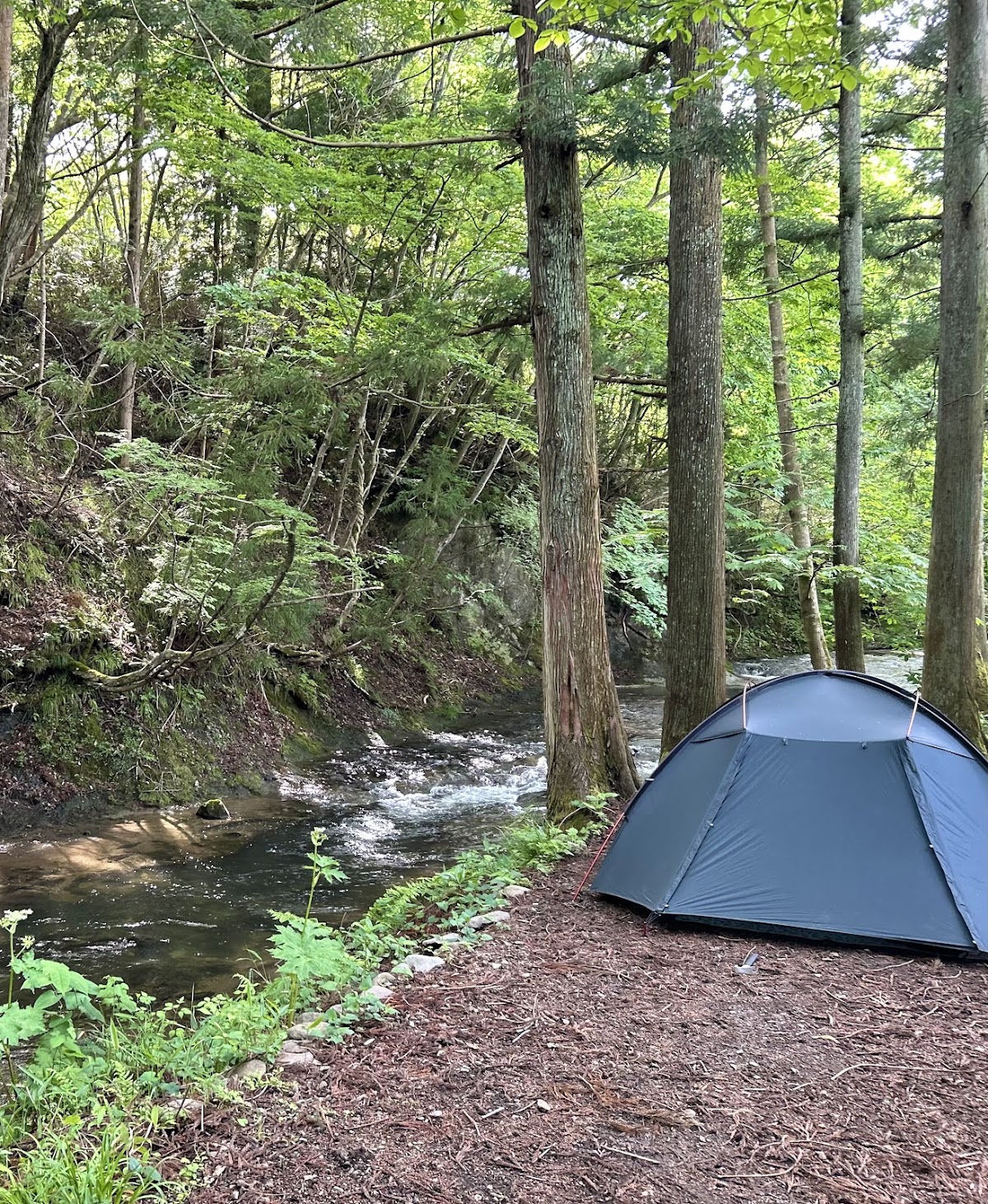 UTO UTO - TINY CAMP -の実際の写真