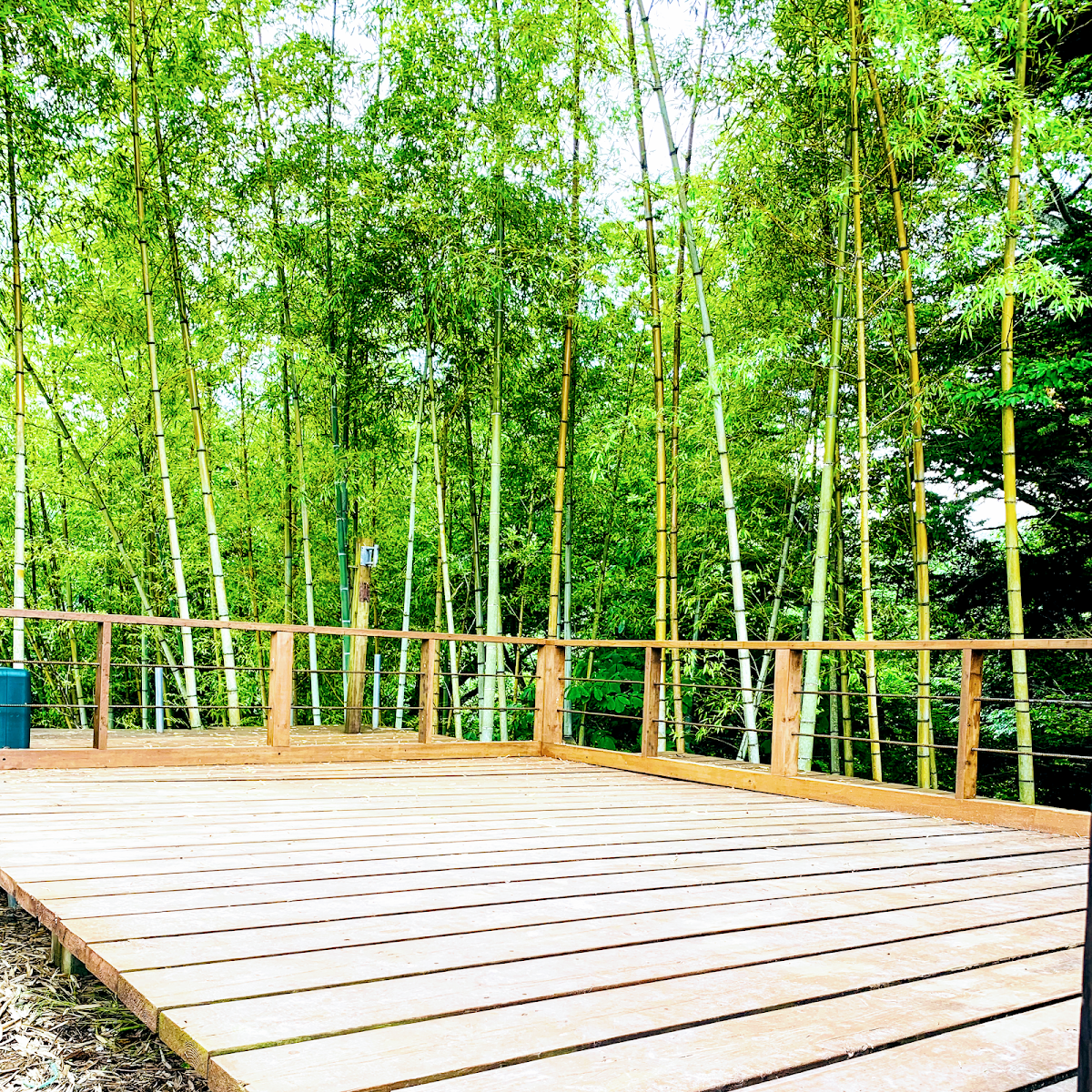 UTO UTO - TINY CAMP -の実際の写真