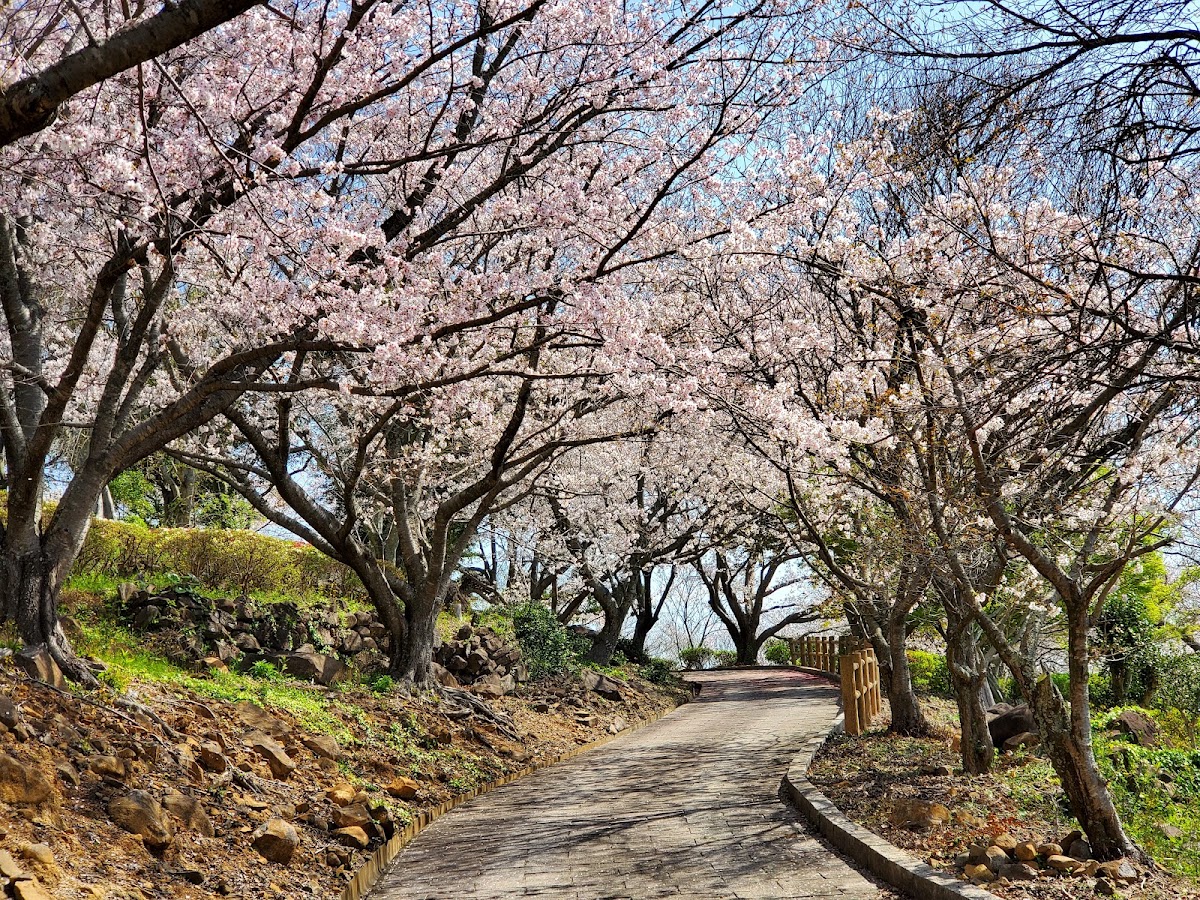 四本堂公園キャンプ場の実際の写真