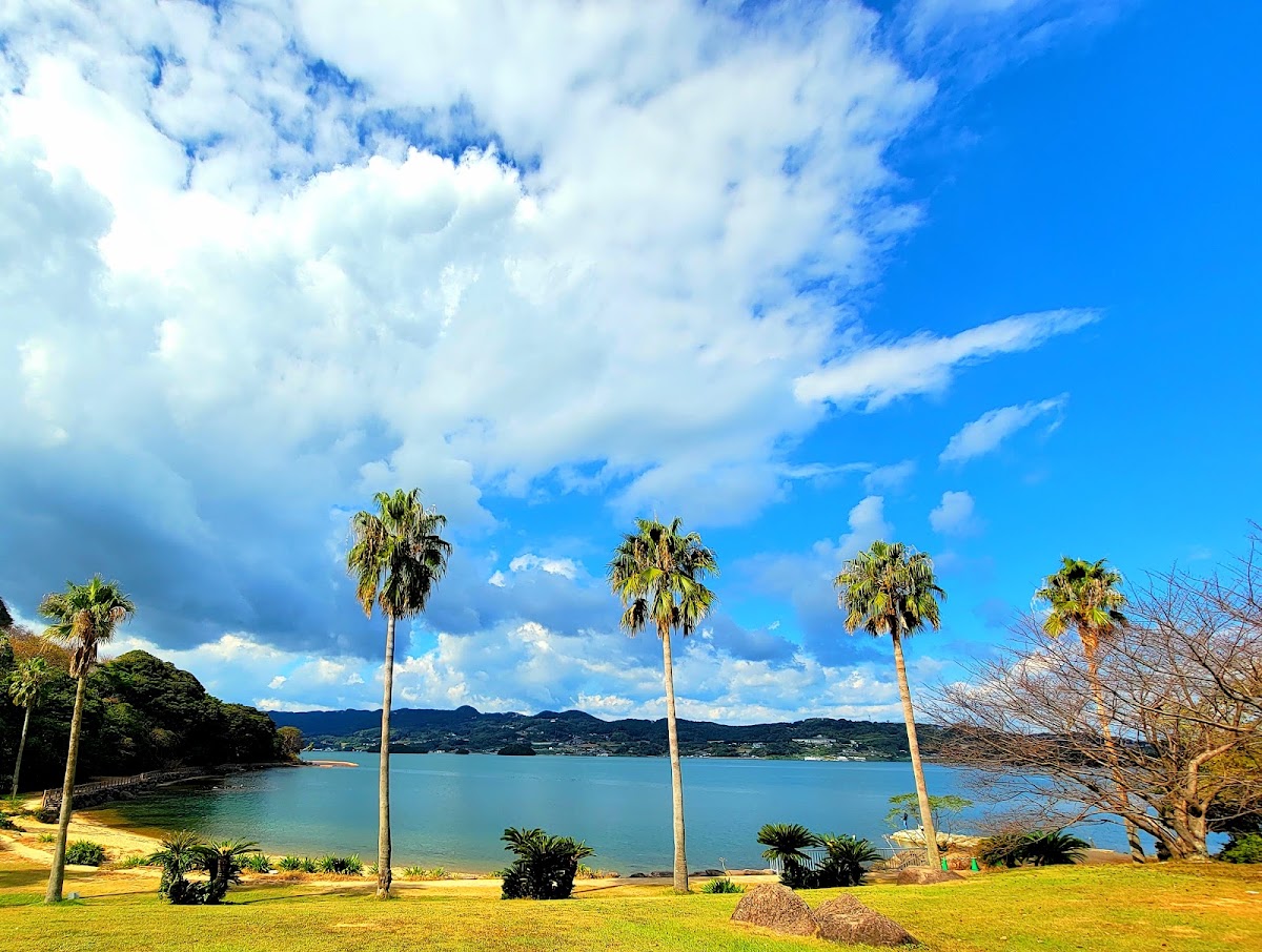 四本堂公園キャンプ場の実際の写真