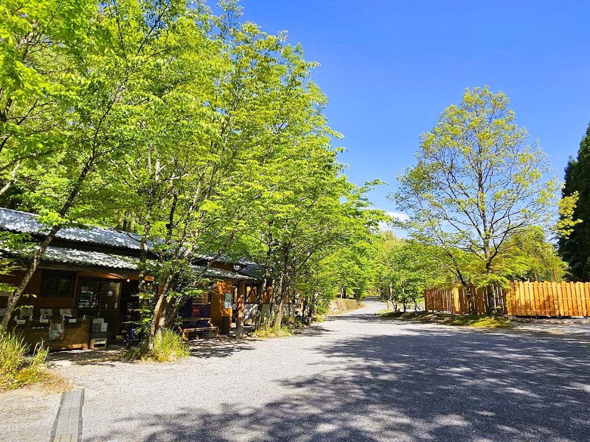 山鳥の森オートキャンプ場の実際の写真
