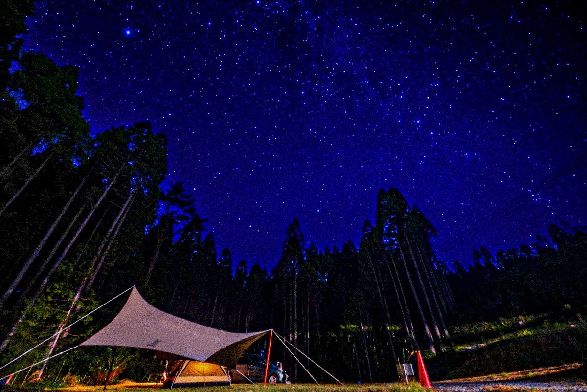 CAMP BOSSDOGの実際の写真