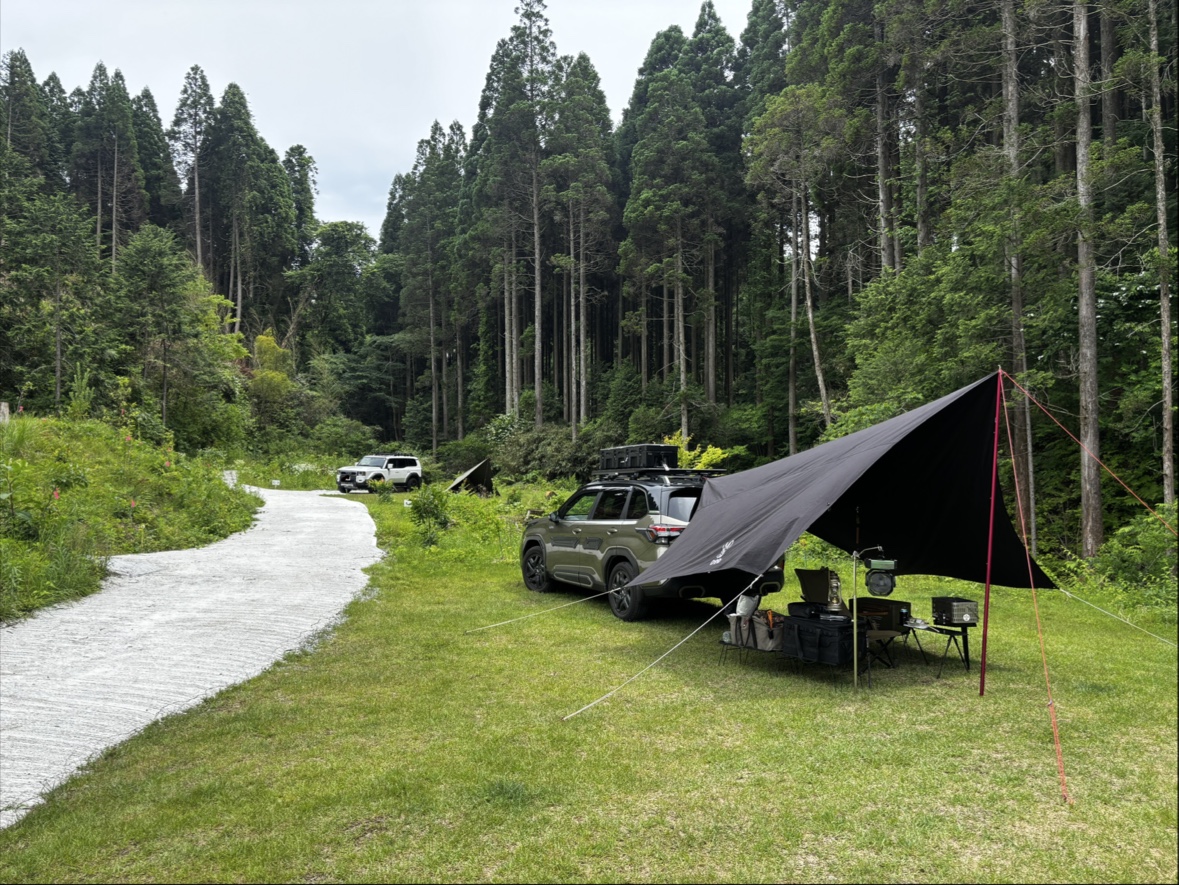 CAMP BOSSDOGの実際の写真