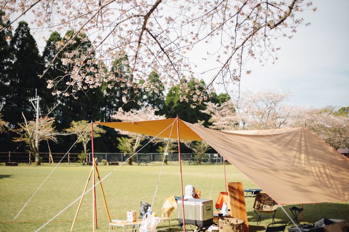 TENTEN CAMPFIELDの実際の写真