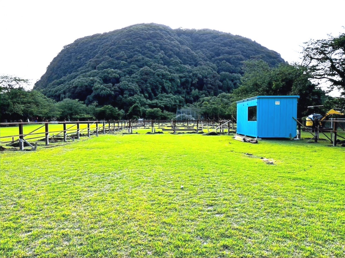 TENTEN CAMPFIELDの実際の写真