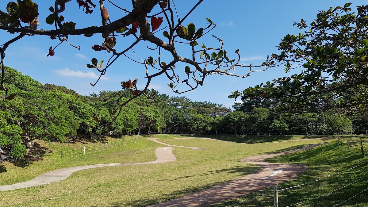 沖縄県 県民の森の実際の写真